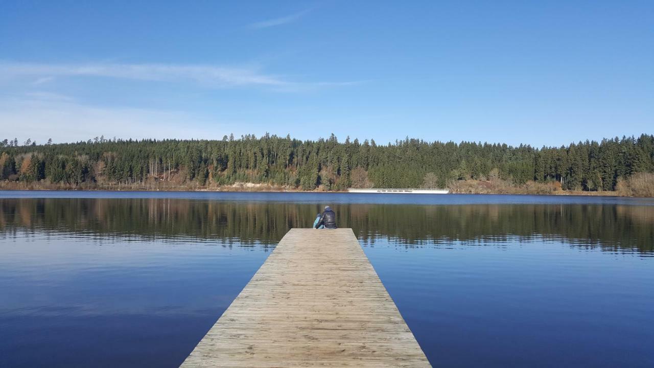 Ferienwohnung Am Kirnbergsee Unterbrand Buitenkant foto